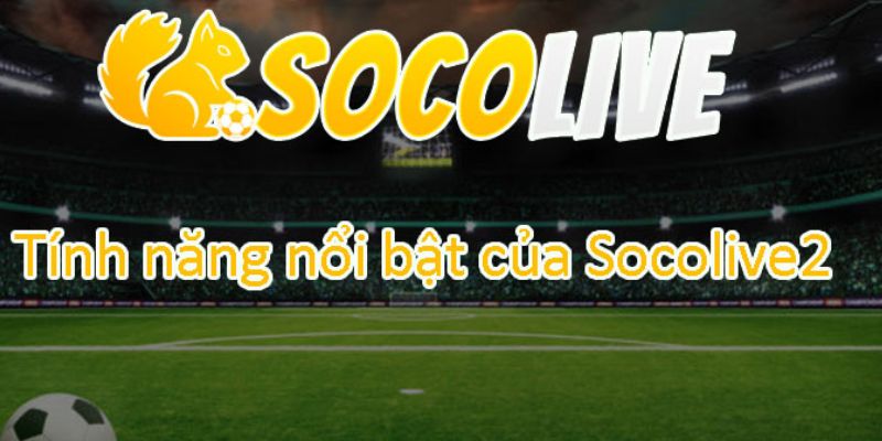 Xu hướng link socolive