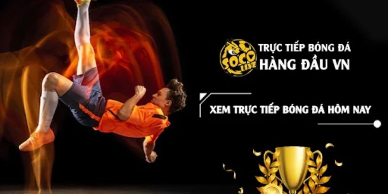 Socolive link mới quan trọng